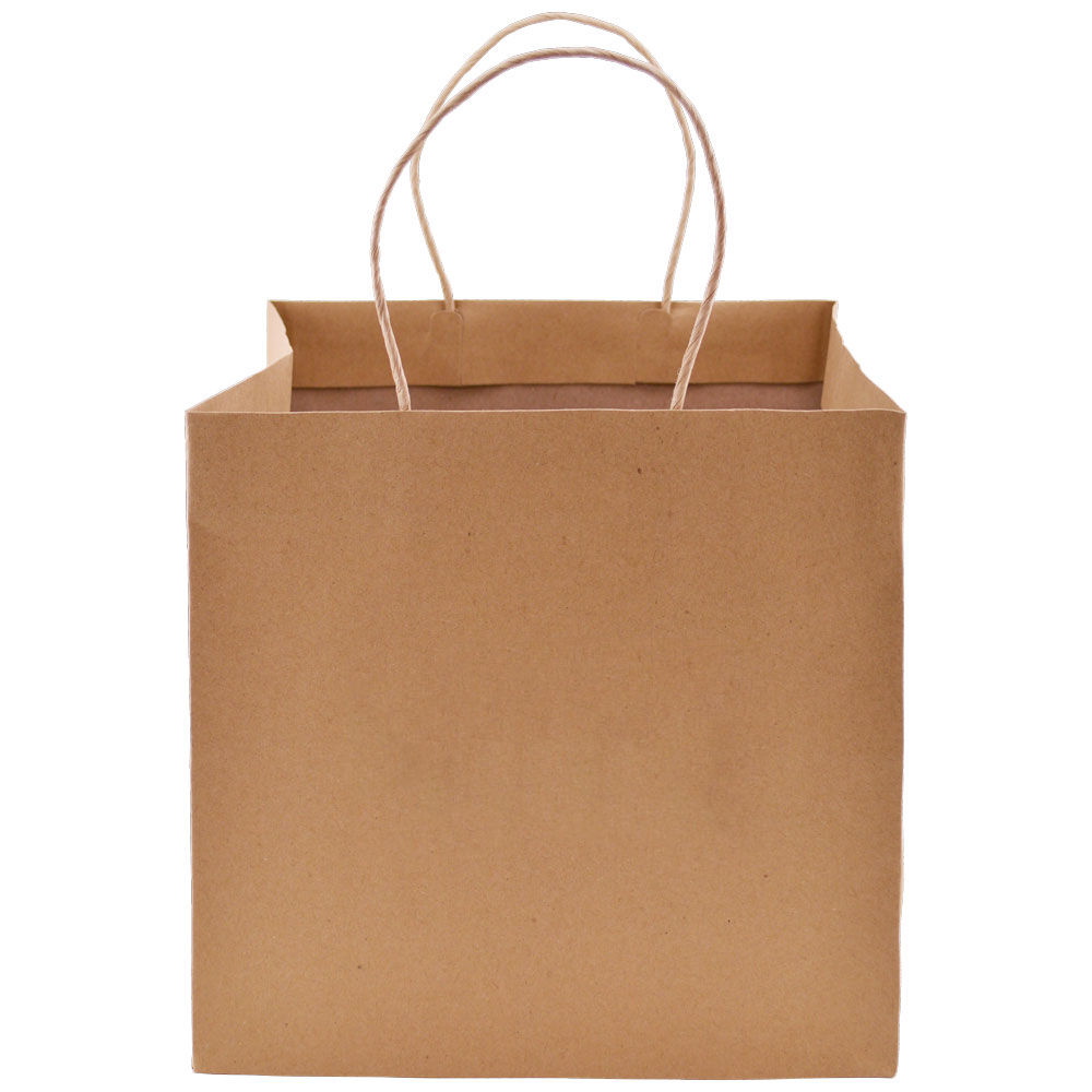 custom-kraft-paper-takeout-bags-ps1wgu1010nat-discountmugs