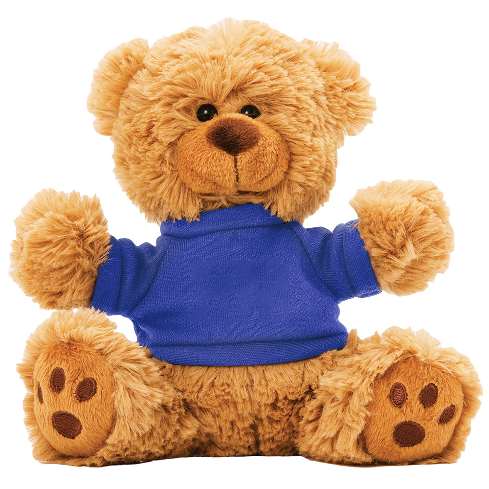 teddy bear with blue shirt